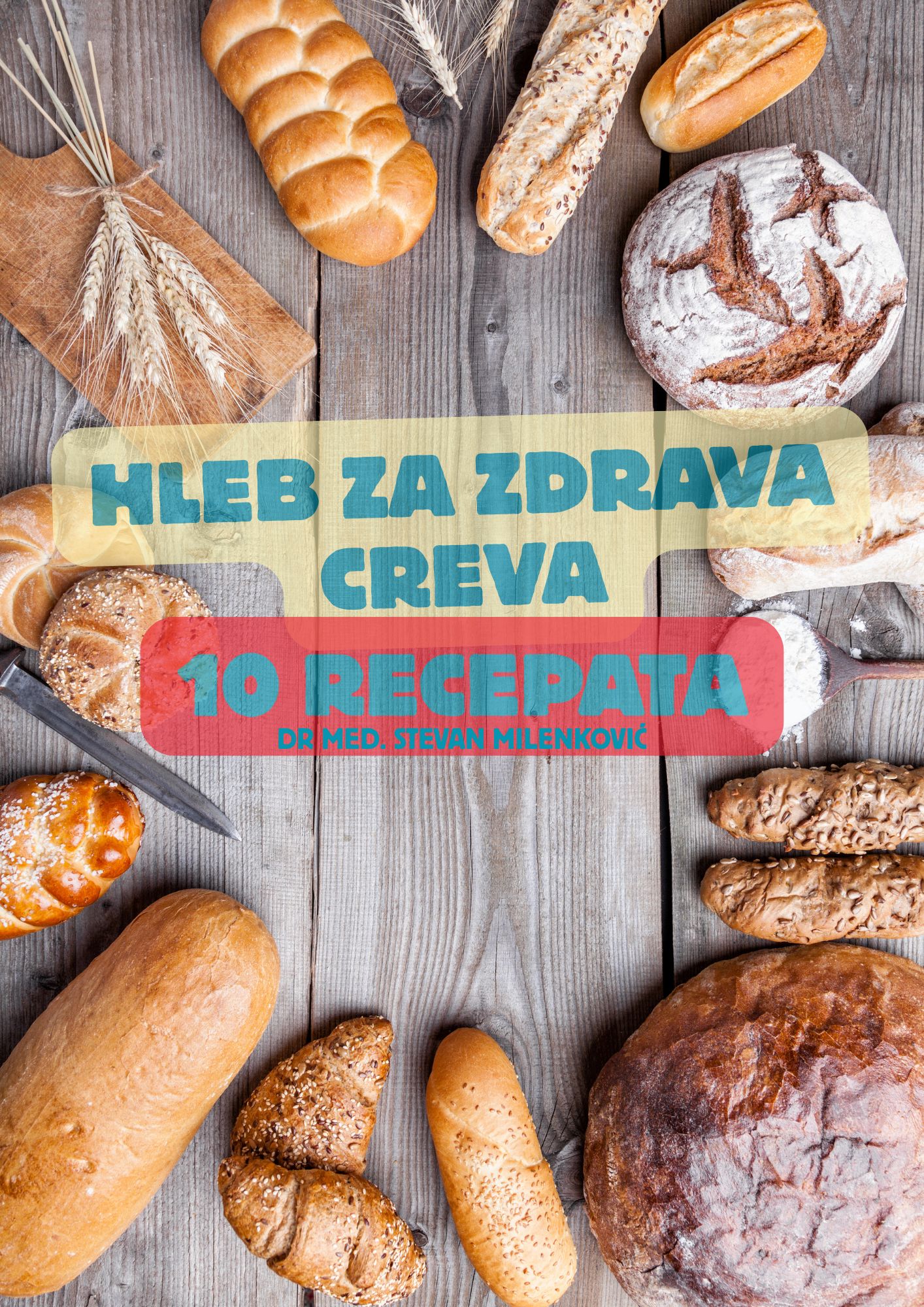 Naslovna slika e-knjige