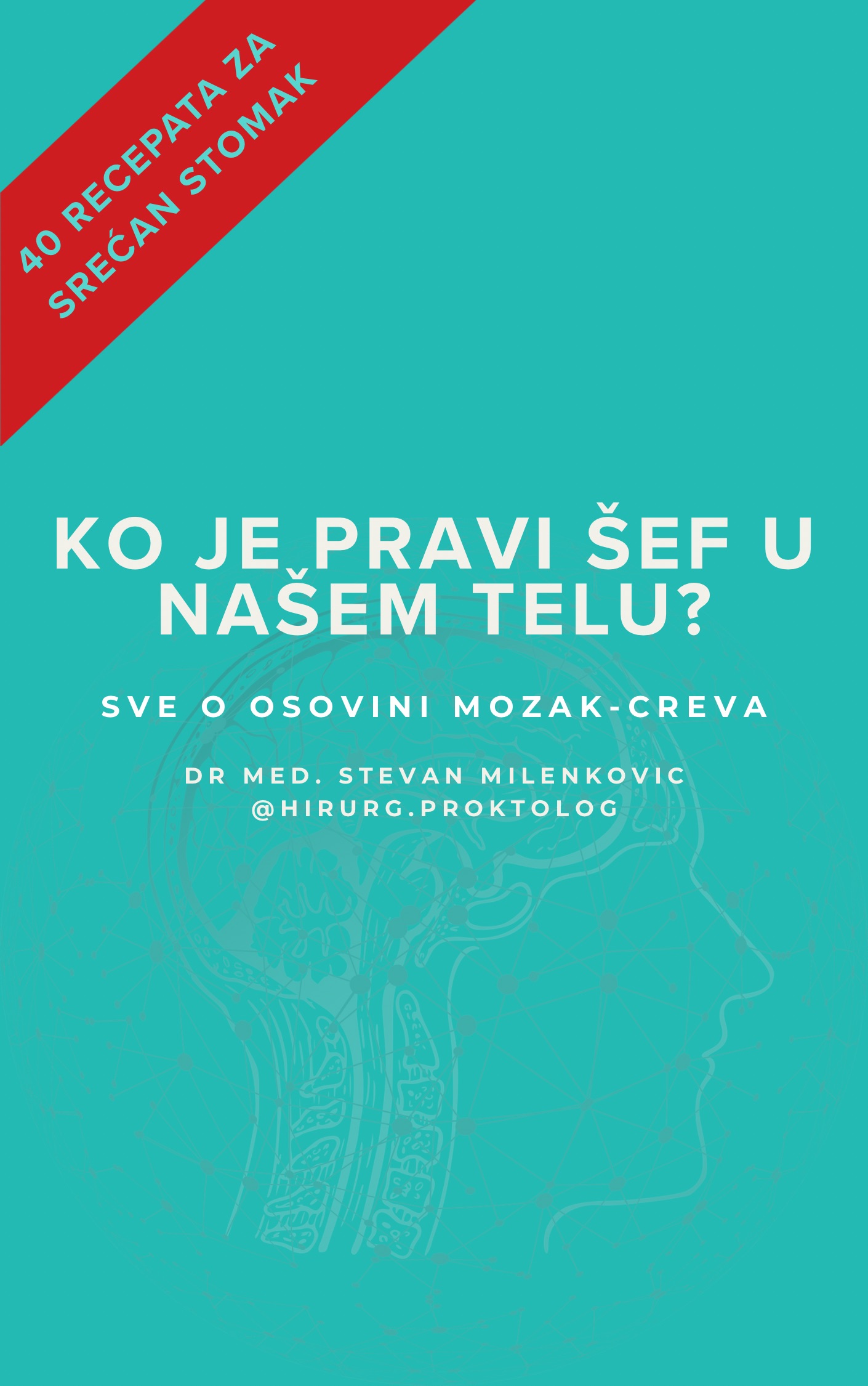 Naslovna slika e-knjige